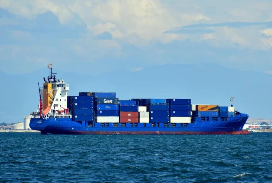 Serviço de frete marítimo profissional do agente de transporte marítimo da China com serviço de preenchimento de armazenamento DDP LCL