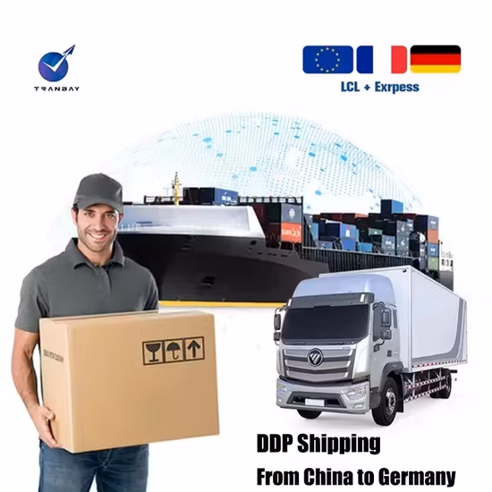 Empresa profissional de transporte de grandes dimensões e excesso de peso DDP da China para os EUA Entrega rápida Agentes de frete porta a porta