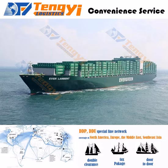 Taxas de frete marítimo DDP Shenzhen para Fba FCL/LCL EUA